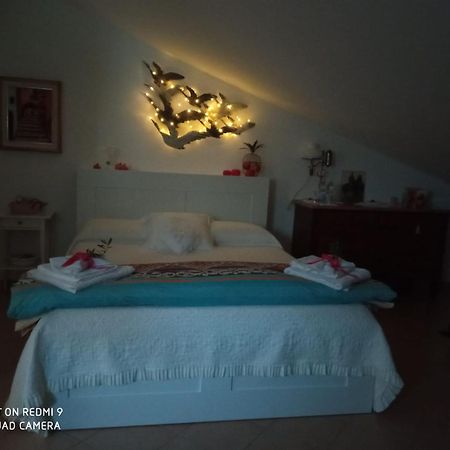 B&B Mikigio Mondavio Εξωτερικό φωτογραφία